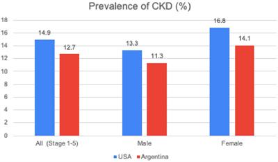 Access to treatment in chronic kidney disease, dialysis and transplantation. Is there gender equality?